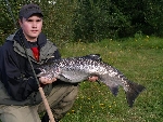 fin sista augusti lax på 7.7 kg från forshaga.