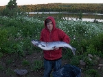 Vår första lax 2008 i saitta
--------------------------------------------------------------------------------
Jag och min son var ut och testade våra vobbler som vi gjort själva,dom funkade efter 7 min brakade en smärre panik i båten en av rullarna skrek av pina en större lax hadde gått på,3 höga hopp samt en saltomontal,kampen varade i ca 30 minuter innan jag kunde köra huggkroken i den som pajade en del av fotovärdet,men i alla fall den är bärgad.
Den vägde 9.740 nära 10 men dock en lax trots skyhöga vatten stånd,älven är på gång att klarna,där av det lyckade turen,vi har fiskat totalt i ca 8 timmar en öring på 1.5 kg samt laxen,så det är mer än väl godtjänt,för mer info ring Rikard på 0978-22044
Mvh kockin