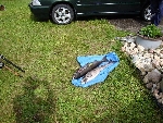 Saittarova by by naight.
13 laxar fram till i dag 21 juli 08.
