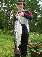 Lax landad i hembäcken av Robin Holmström sommaren 2008. Vikt 7,6 kg.