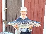 Lax landad av Robin Holmström nedanför Jockfall vikt 6,2 kg sommaren 2008.