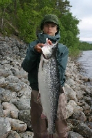 Lax landad av Robin Holmström, på hemligt plats nedanför Jockfall 2008 vikt 11 kg.
