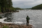 Robin Holmström drillar stor lax i kalixälven
