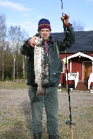 Gammal är äldst Tommy Holmström med denna fina öring på 2.8 kg fångad på spinn.