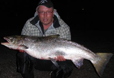 13,7 kilo juni 2009