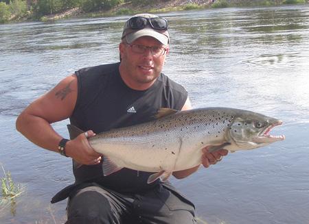 Fin laxhona från 8,6 kg - 2009