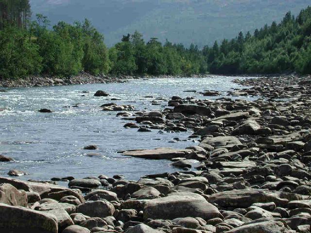 Bild fra Saltdalselva