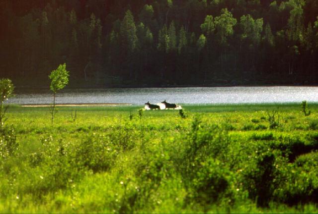 Utsikt fra stugan ved Sørengvatn