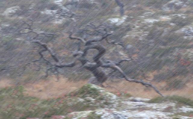 Kraftig regnskur. En time etterpå var det sol.