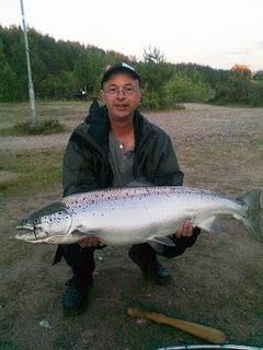 Fin lax på 12,1 kg tagen på korallen landad längst ner på ön efter härlig fight. Fångad av Simon Ridderborg den 26/6 med spinnfluga.