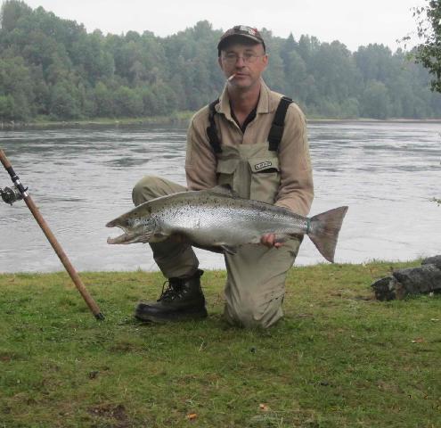 1:a fisketur till Laxen i Bergeforsen gav utdelning direkt. Fångad den 15/8 på spinnfluga vägde denna lax prick 6,0kg samt längd 83 cm.