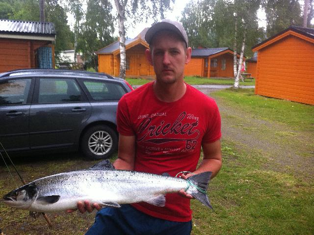 4,8 kg vecka 29