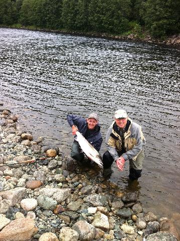 8.5 kg vecka 29