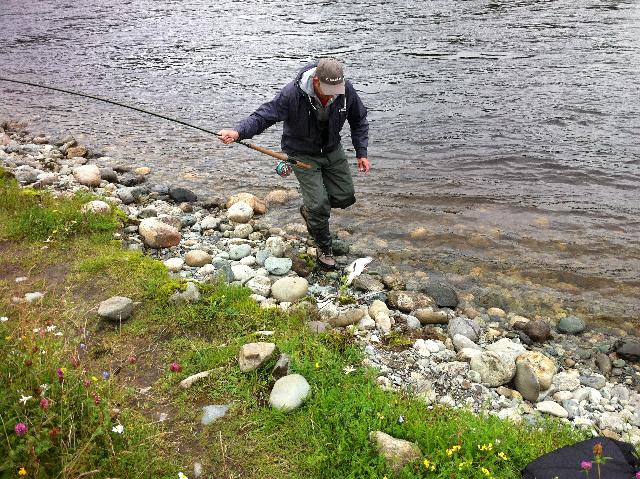 2-3 kg c&r vecka 29