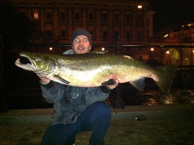 Lax 15,6 & 114cm fångad 110921.