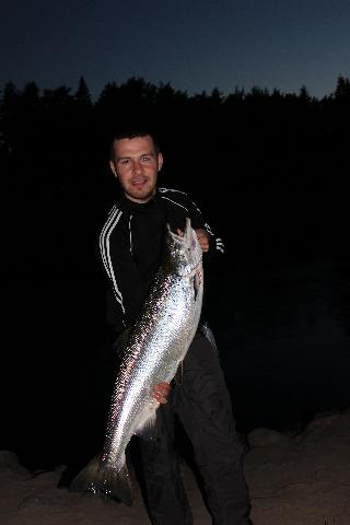 Laxhona 11,65kg fångad 110705.