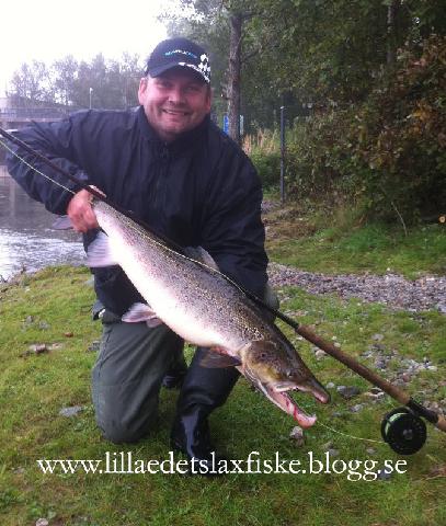 Bild från ett av Sveriges bästa laxvatten! Flugfångad lax som bjöd på en god fajt. Hoppas ni haft ett fint fiskeår! Patrik Boox