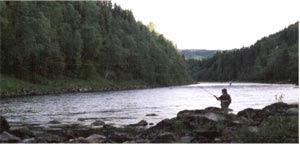 Övre del på Sugustad sträckan vid Storås, Rolle Väsby  fiskar. 2001( Foto Mikael Karlsson )