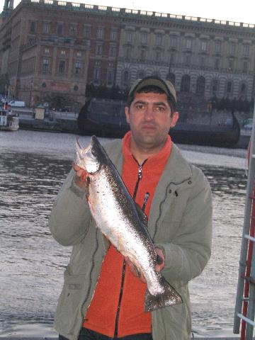 tog jag den 3 kg blanka fisken stockholm ström med egen bundna fluga som den det namnet är kurdish fluga                               180405