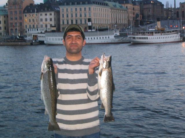 Baki säger att det är lätt att fånga fisk på våren i stockholm ström.Han fiskade 1 timme och fick 2 fiskar.