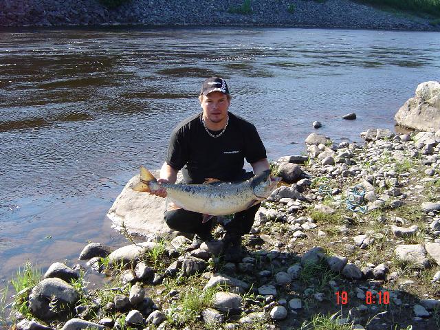Ännu en lax tagen av niklaus storås 2005 i karleby 13,1kg Samma fluga MONROE KILLER