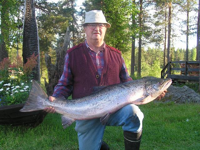 Gunnar Nilsson med lax på 13,9 kg fångad på trolling i Ansvar Kalixälven.