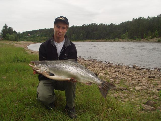 Felix Boström  10 kg lax