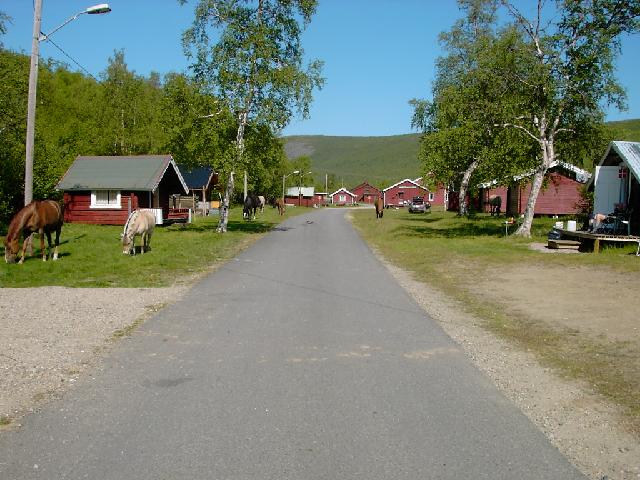 Gullgravergatan Levajok Foto: Ole Gamst