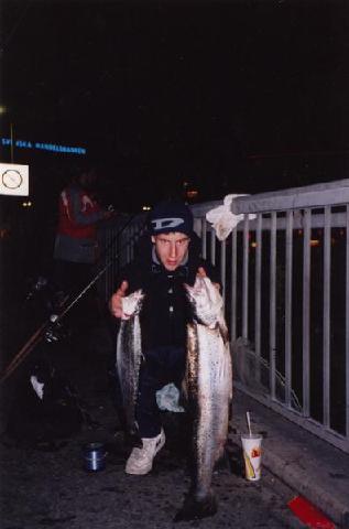 Besa 88cm 6,3kg Blancher 55cm 1,8kg tagna på nors / Ivan