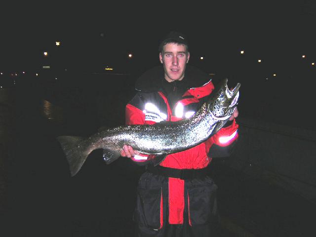 Utlekt hona 5,5kg / Ivan