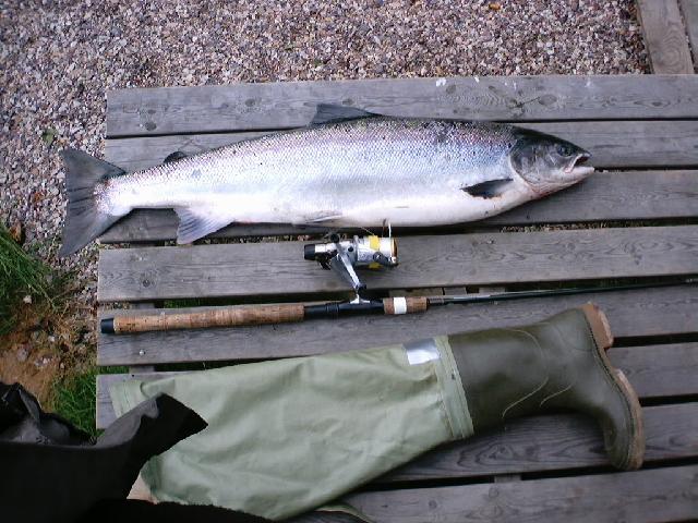 Tanalaks fra Levajok Fjellstue Fiskecamp 2004