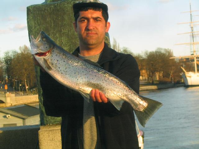 blank öring 3,2 kg tog med kurdishfluga  060421   baki turhan