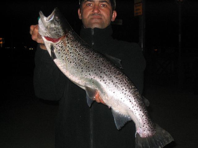 blank öring 5,2 kg tog med kurdishfluga 060421  baki turhan