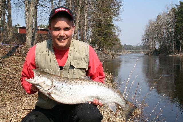Henrik Hedlund Gävle med öring på 7,45  fångad på Notören.Foto:Patrik Jaurnell