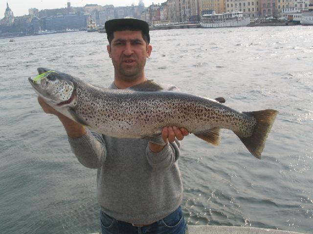 vår öring, 5,3 kg     060430                    baki turhan