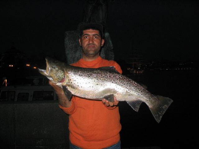 vår öring. natt fiske i strömmen. 6,3 kg   060503                               baki turhan