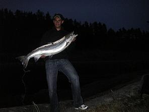 Lax på 10 kg fångad från hällen.
