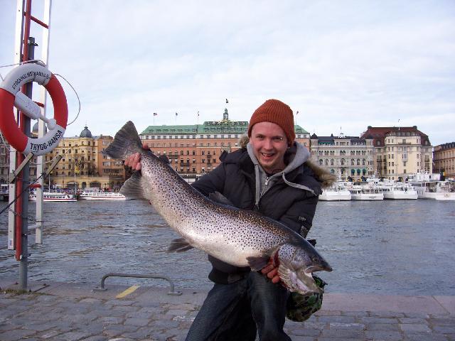 havsöring på ca9,5kg
