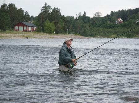 Sverrir utvadad på fla i väntan på det stora laxhugget. foto Rolle Strandell