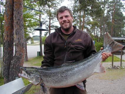 Per Carlsson från Västerås med årets 1a blanklax tagen i Älvkarleby.