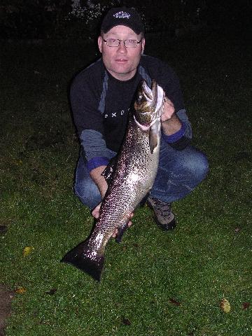 Höstöring från Forshaga 2005 i September 6,2kg tagen på fluga av Michael Jonsson