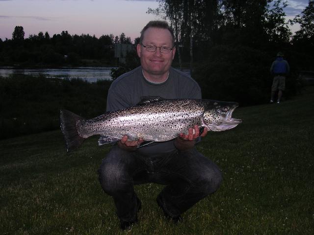 Laxmaffian Västerås, MIchael Jonsson med en Gullspångsöring på 7,0kg från Forshaga tagen den 28/6 2007