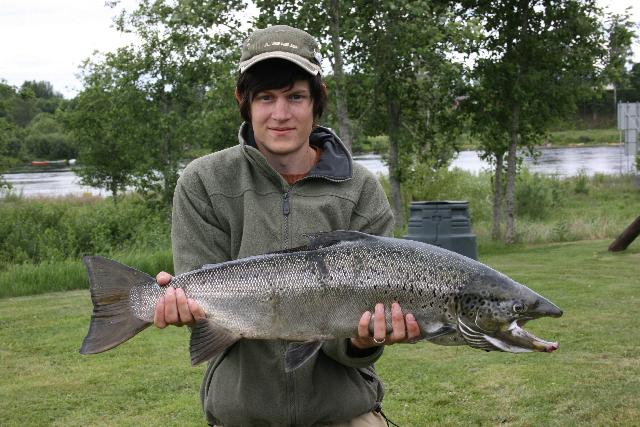 Hade två dagars rikitgt trevligt fiske i forshagaforsen den 27-28/6. Det resulterade i tre fiskar. Den andra: En lax på 7,6 kg