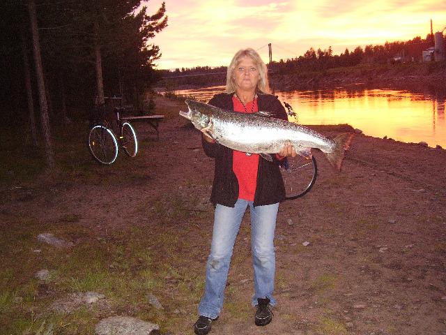 Monicas Lax i luleå älv freda den 13/7/07. Tubfluga svart/gul..