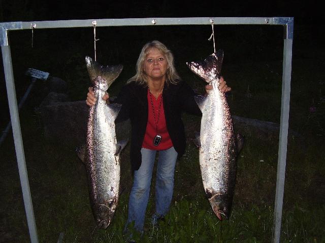 Monicas Laxar 10 kg / 9 kg Samma natt. Tagen på tubfluga svart/gul.