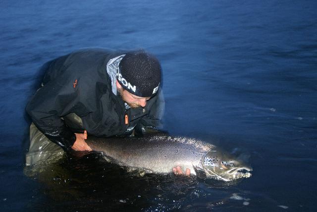 Lax 13,2 kg 107 cm tagen av Andreas Olsson, guide på Lainio Vildmark