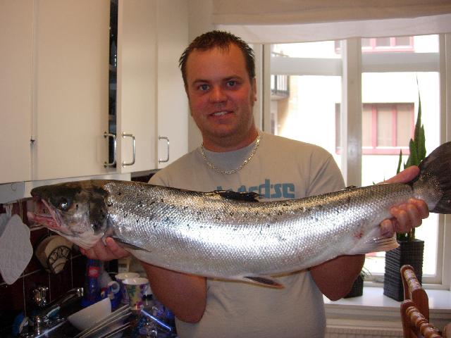 Visst går det att ta larry i TRÖLLHÄTTAN. 6.6 kg (Sölveblank) nedanför fallen vid hojums kraftstation. M:V:H Joakim Olsson