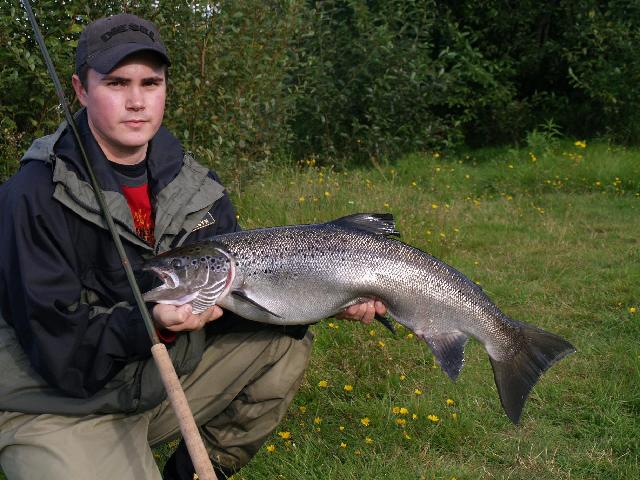 fin sista augusti lax på 7.7 kg från forshaga.