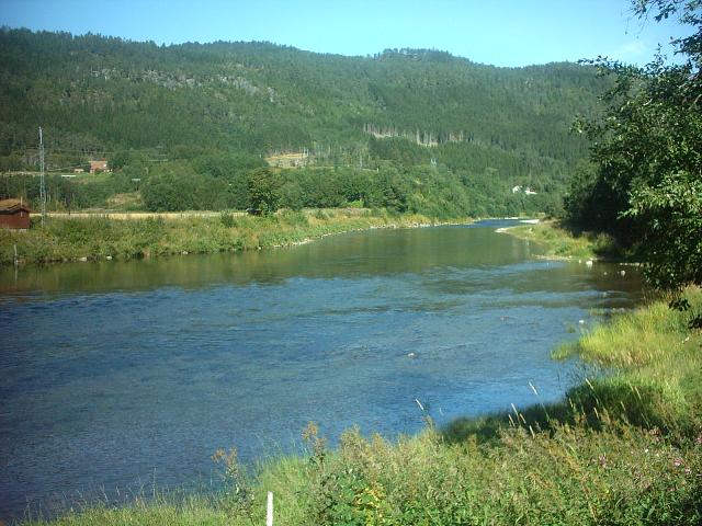 advokaten i surna