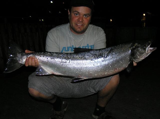 Nystigen Larry   tagen i Lilla Edet Sommaren 2007 av Jocke Olsson, Röd Zon (Sölveblank)